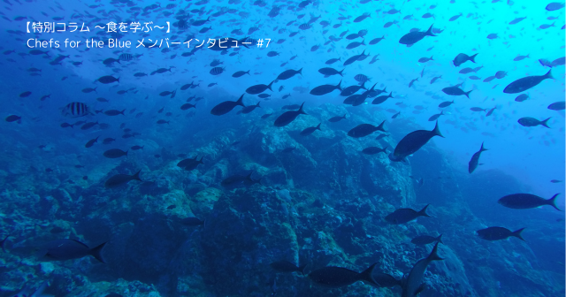 【特別コラム～食を学ぶ～】「シンシア」石井 真介シェフインタビュー