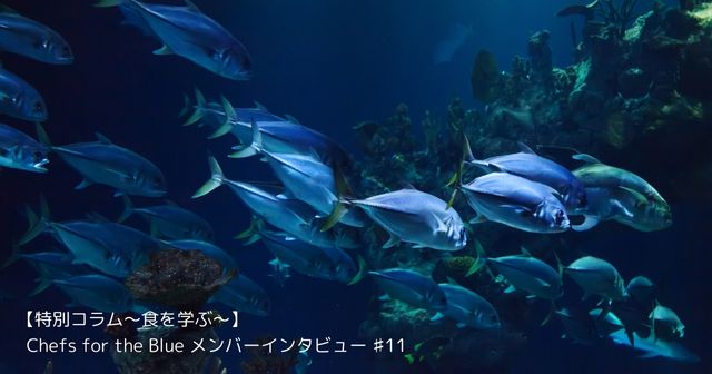 【特別コラム～食を学ぶ～】「アムール」後藤祐輔シェフインタビュー