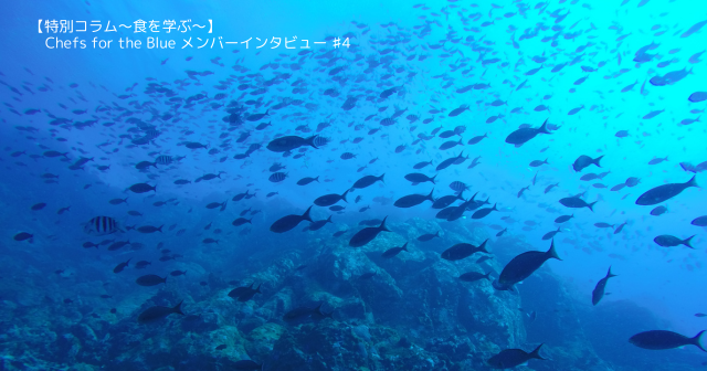 【特別コラム～食を学ぶ～】「コンヴィヴィオ」辻 大輔シェフインタビュー